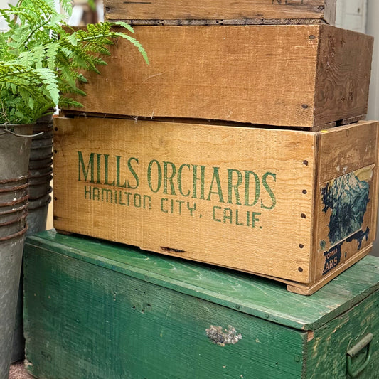 Mills Orchard Crate