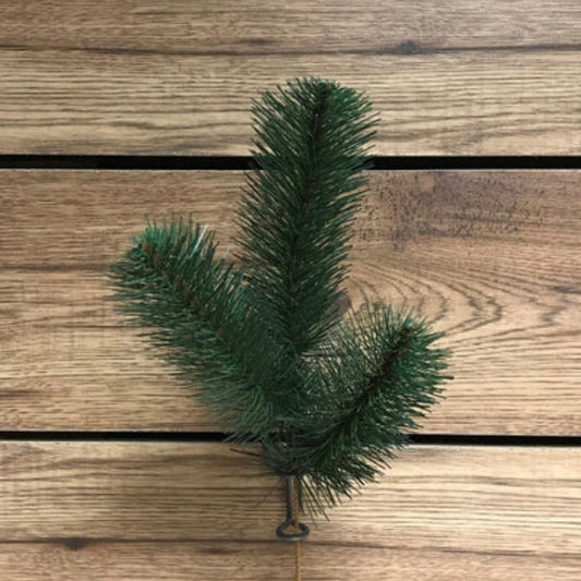 Australian Pine Spray 3 Stems