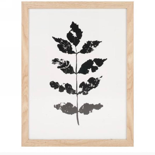 Art - Black Foliage 1 in a Pine Frame