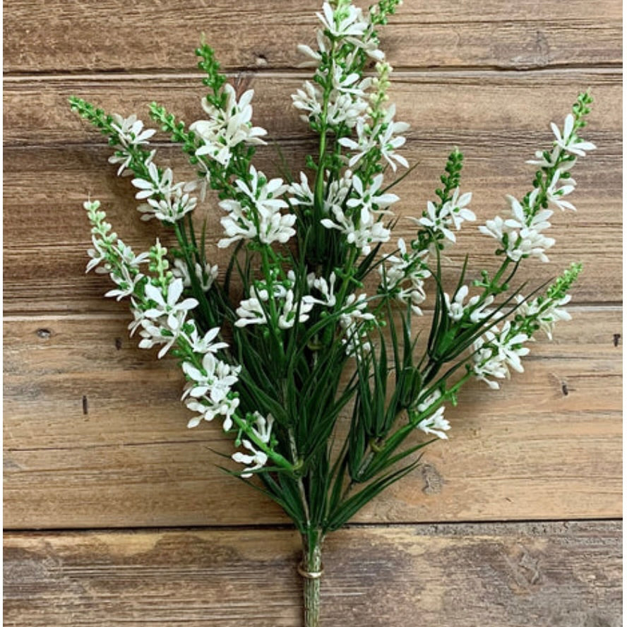 White Sweet Veronica Bundle