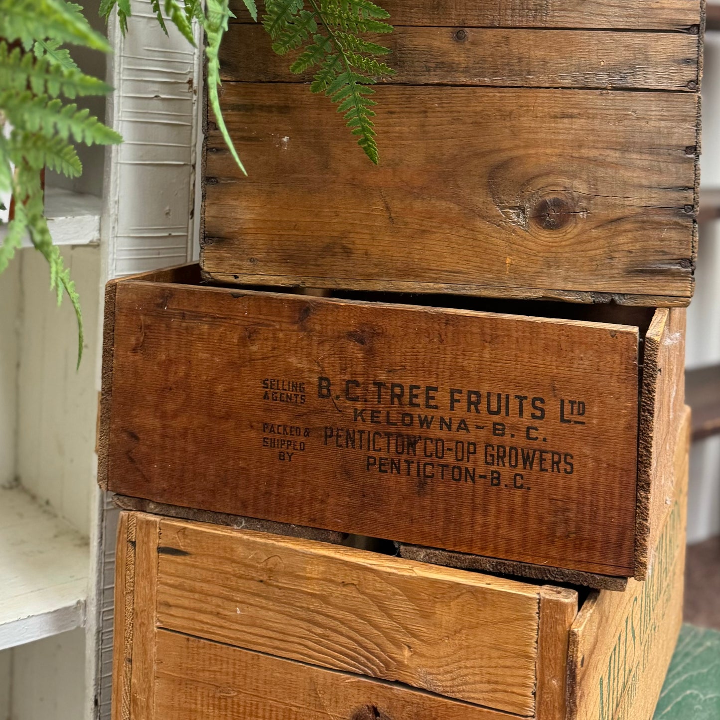 BC Fruits Crate