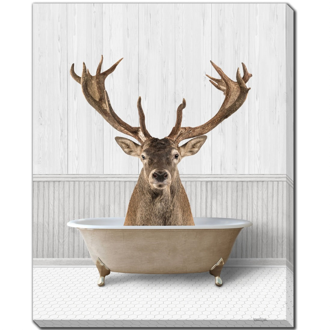 Art - Bath Time Deer 16 x 20