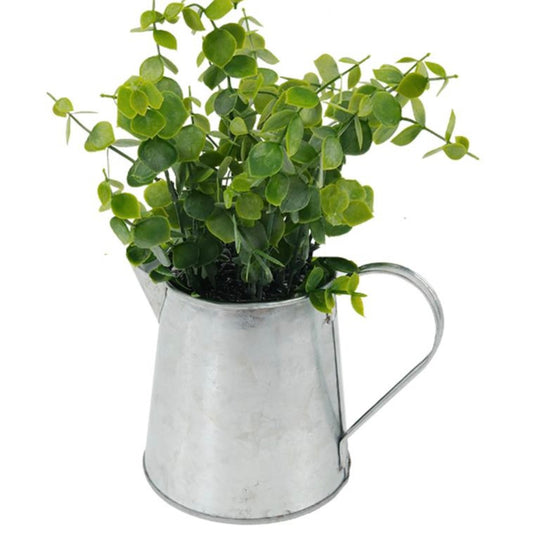 Watering Can Plant