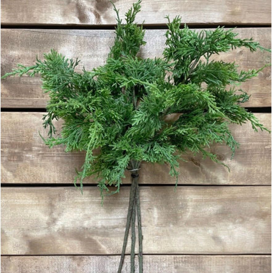 Northern White Cedar Bundle - 3 Stems