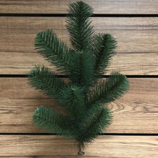 Australian Pine Spray 9 Stems